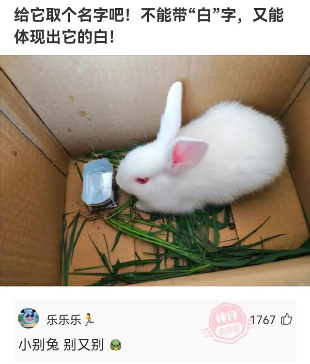 神回复:当你还在发着文艺的牢骚,她已经在享受荷尔蒙带来的快感 神回复:当你还在发着文艺的牢骚,她已经在享受荷尔蒙带来的快感