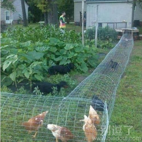自走式昆虫歼灭器 自走式昆虫歼灭器
