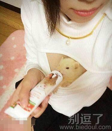 现在宠物都是这待遇 现在宠物都是这待遇