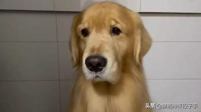 搞笑生活:我朋友买了条金链子,零下20℃非要光着膀子游泳 搞笑生活:我朋友买了条金链子,零下20℃非要光着膀子游泳