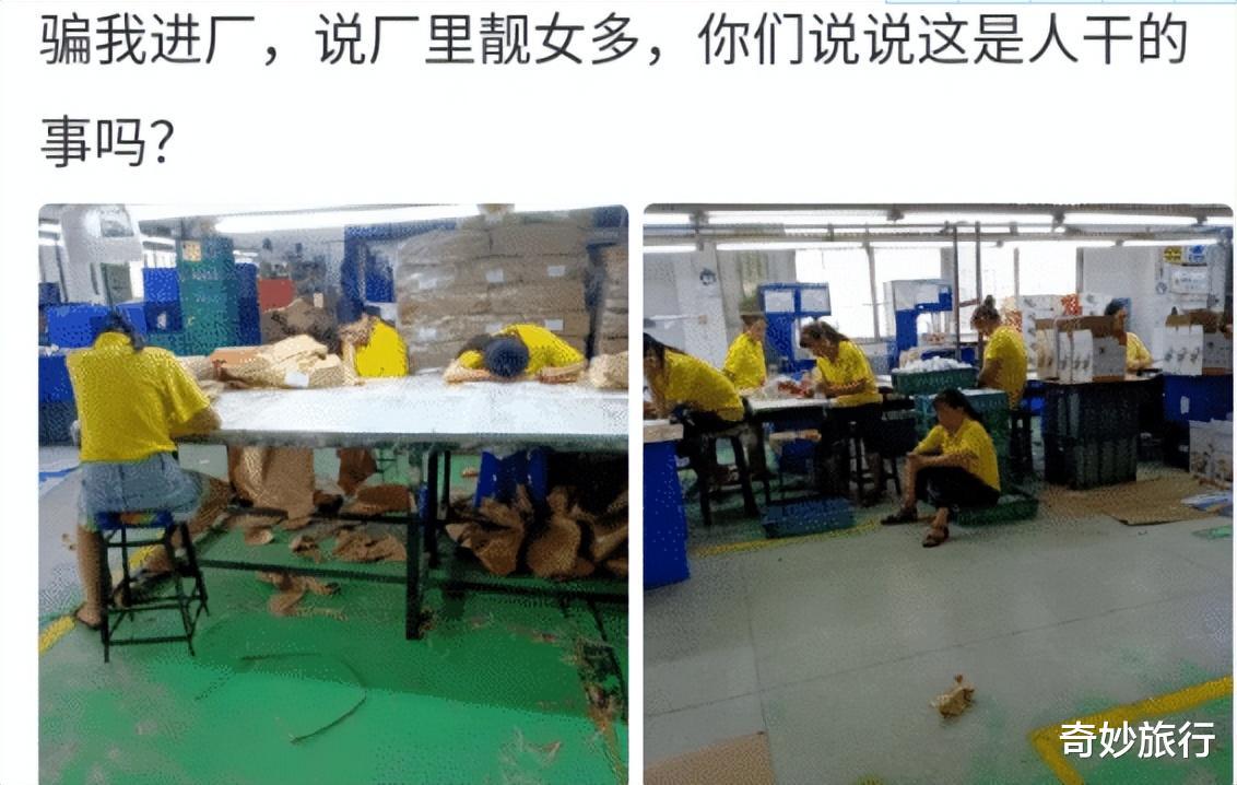 “骗我进厂,说厂子里面靓女多,这是人干的事吗?” “骗我进厂,说厂子里面靓女多,这是人干的事吗?”