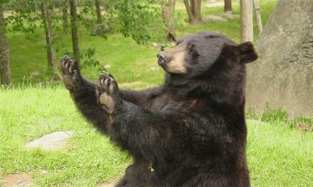 刚做了美甲 欣赏一下