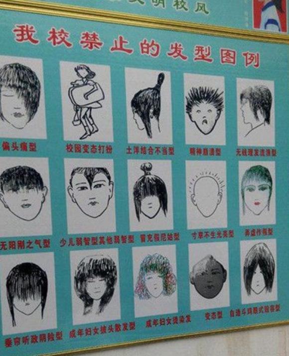 校风发型示意图