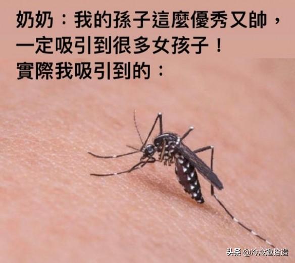 每日爆笑囧图神评论:千万不能说,说了之后真就跳进黄河也洗不清 每日爆笑囧图神评论:千万不能说,说了之后真就跳进黄河也洗不清