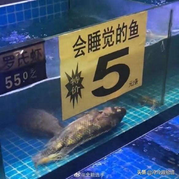每日爆笑囧图神评论:千万不能说,说了之后真就跳进黄河也洗不清 每日爆笑囧图神评论:千万不能说,说了之后真就跳进黄河也洗不清
