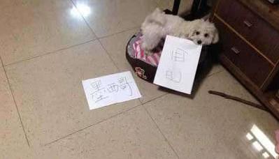 直接关系到口粮了4年前有神章鱼