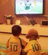 有共同的爱好不容易呀