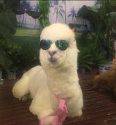 今天约了美美 今天约了美美