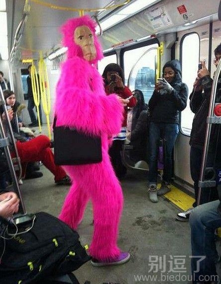 谁能告诉我这是什么鬼? 谁能告诉我这是什么鬼?