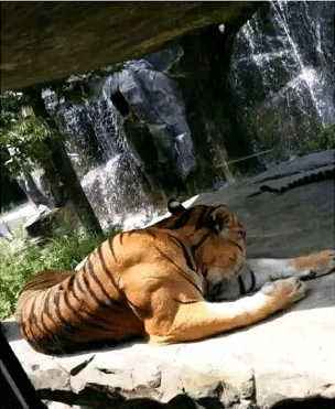 “大清早给儿子煮的鸡蛋他不吃,这是进入叛逆期了吗?”哈哈哈哈哈他只是想活 “大清早给儿子煮的鸡蛋他不吃,这是进入叛逆期了吗?”哈哈哈哈哈他只是想活