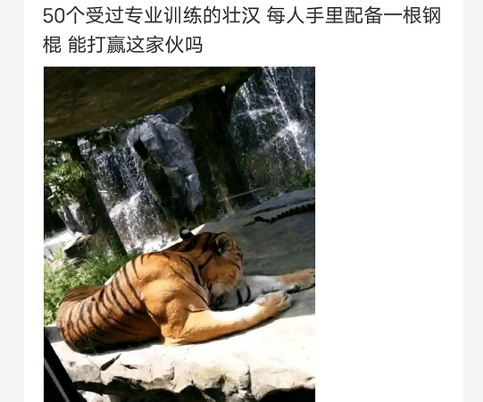 “大清早给儿子煮的鸡蛋他不吃，这是进入叛逆期了吗？”哈哈哈哈哈他只是想活