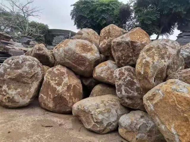 每日一笑:这是北方的话梅,想看看南方的 每日一笑:这是北方的话梅,想看看南方的
