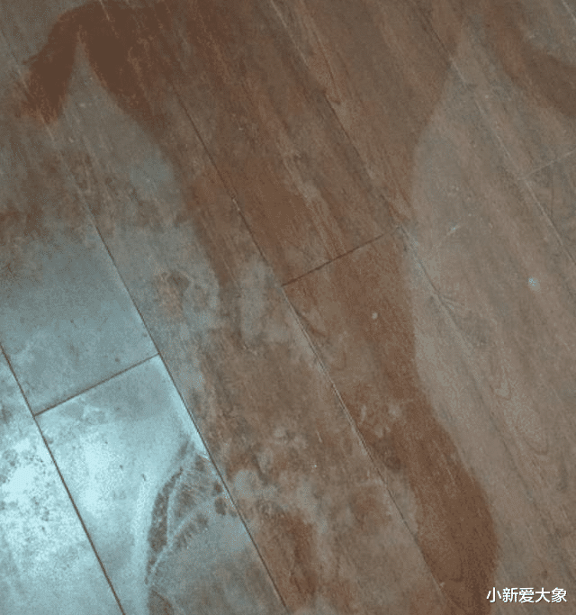 “未婚妻说地上的印记是做瑜伽留下的,我总觉得哪不对,我该相信她吗”哈哈哈哈。 “未婚妻说地上的印记是做瑜伽留下的,我总觉得哪不对,我该相信她吗”哈哈哈哈。