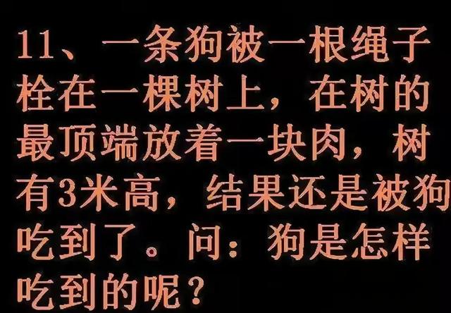 姑娘太粗心了，眼镜的反射被大家看得一清二楚！下次注意点吧