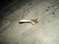 吸烟有害健康啊小鱼