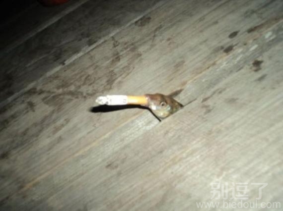 吸烟有害健康啊小鱼