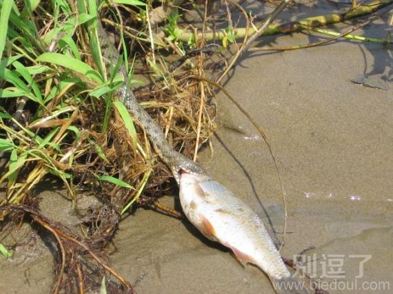 我看到了这一幕。咋办 我看到了这一幕。咋办