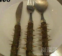 谢谢,我用筷子 谢谢,我用筷子