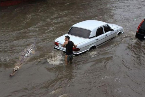 水灾图片流行正当时
