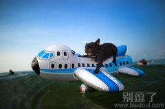 小狗驾飞机出去玩喽。