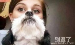 二哈与人类的结合