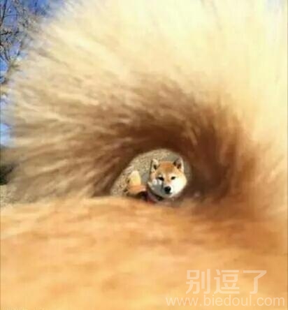 这个画面很唯美呀 这个画面很唯美呀