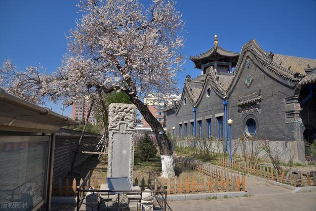 神回复:当众人都倒下了,就到木叶的苍蓝猛兽登场了 神回复:当众人都倒下了,就到木叶的苍蓝猛兽登场了