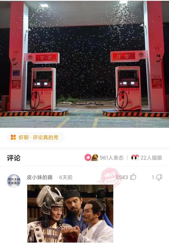 神回复:当众人都倒下了,就到木叶的苍蓝猛兽登场了 神回复:当众人都倒下了,就到木叶的苍蓝猛兽登场了