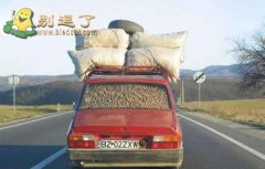 皮卡什么的都弱爆了