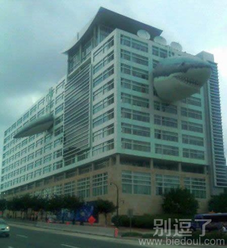 海啸过后的楼和鲨鱼