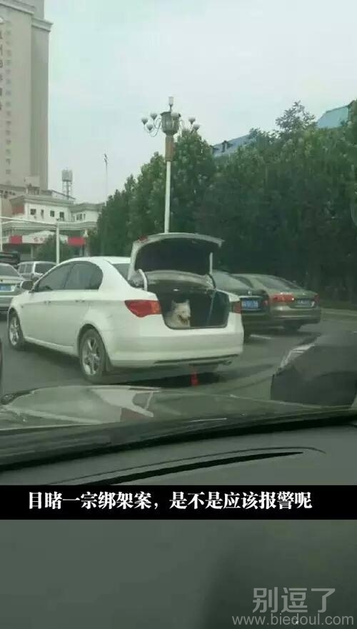 但是看起来很享受的样子