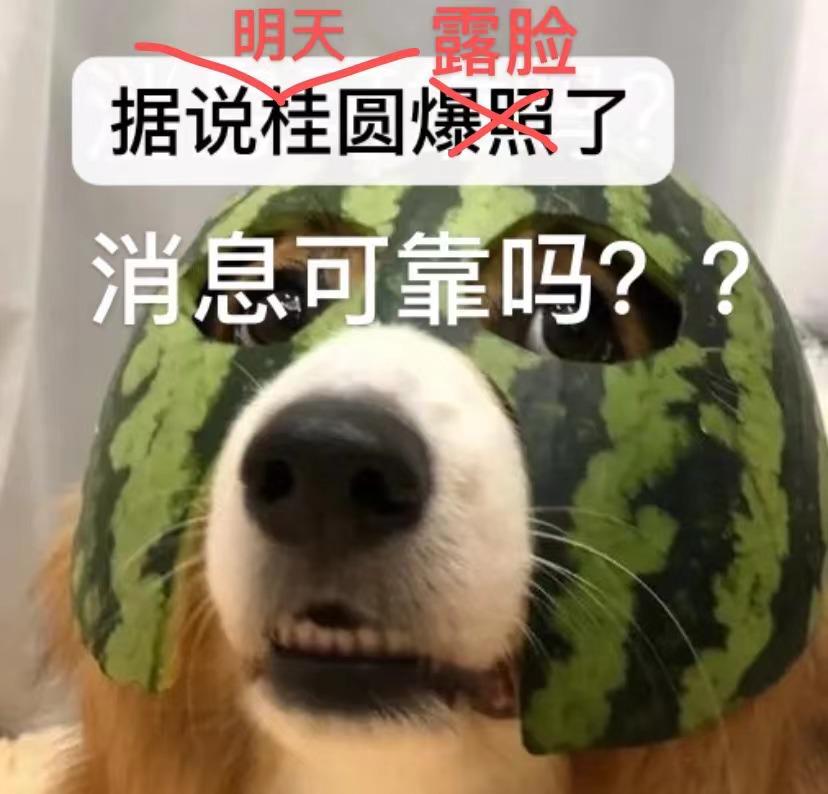 轻松一刻:你问我爱你有多深,瓶瓶蛋蛋才是真 轻松一刻:你问我爱你有多深,瓶瓶蛋蛋才是真