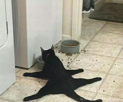 看来腿太长有时并非是一件好事