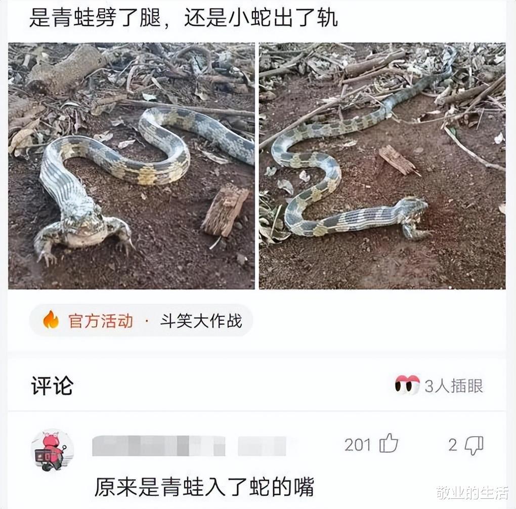 “到底是青蛙劈了腿,还是小蛇出了轨?”神评才是真相 “到底是青蛙劈了腿,还是小蛇出了轨?”神评才是真相