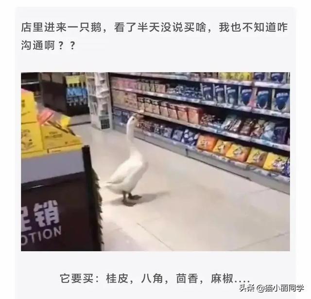 兄弟,看你这招财猫的麒麟臂,这是直接要抢劫啊 兄弟,看你这招财猫的麒麟臂,这是直接要抢劫啊