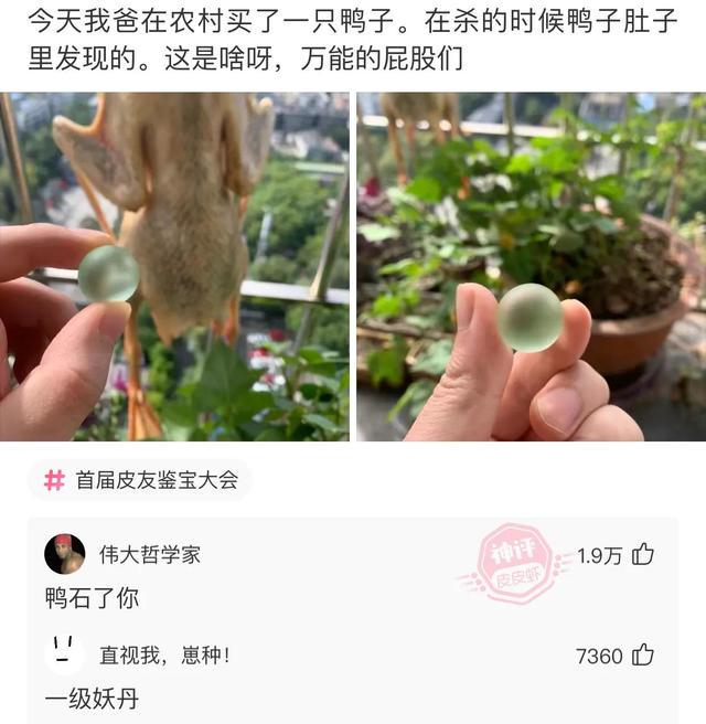 兄弟，看你这招财猫的麒麟臂，这是直接要抢劫啊