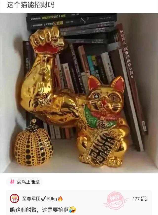 兄弟，看你这招财猫的麒麟臂，这是直接要抢劫啊