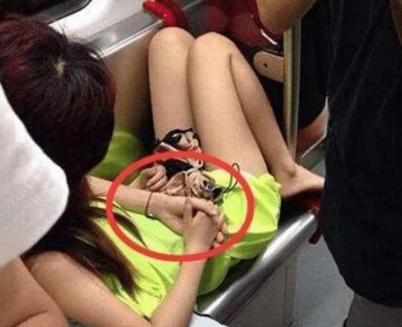 妹子在地铁上睡觉也不注意点,多只手出来是谁的,真尴尬!哈哈哈 妹子在地铁上睡觉也不注意点,多只手出来是谁的,真尴尬!哈哈哈