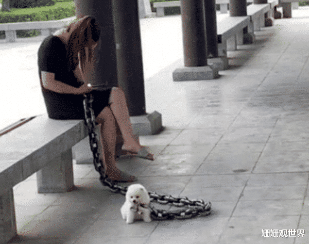 妹子在地铁上睡觉也不注意点,多只手出来是谁的,真尴尬!哈哈哈 妹子在地铁上睡觉也不注意点,多只手出来是谁的,真尴尬!哈哈哈