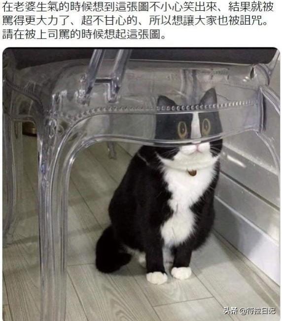 笑死我了,出差一周,家里人给装修的新房子,网友:这是主墓室吧 笑死我了,出差一周,家里人给装修的新房子,网友:这是主墓室吧