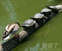 不好意思，初吻没经验。。