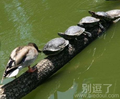 不好意思,初吻没经验。。 不好意思,初吻没经验。。