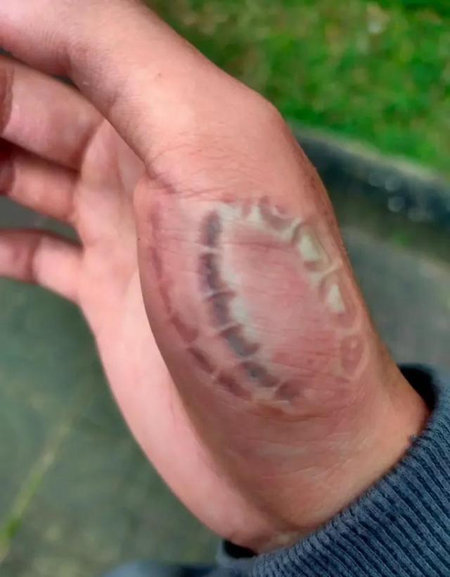 那些猝不及防的神转折…真是连腰都闪到了呢!哈哈哈 那些猝不及防的神转折…真是连腰都闪到了呢!哈哈哈