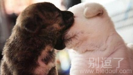 初吻没经验。。。.对不起