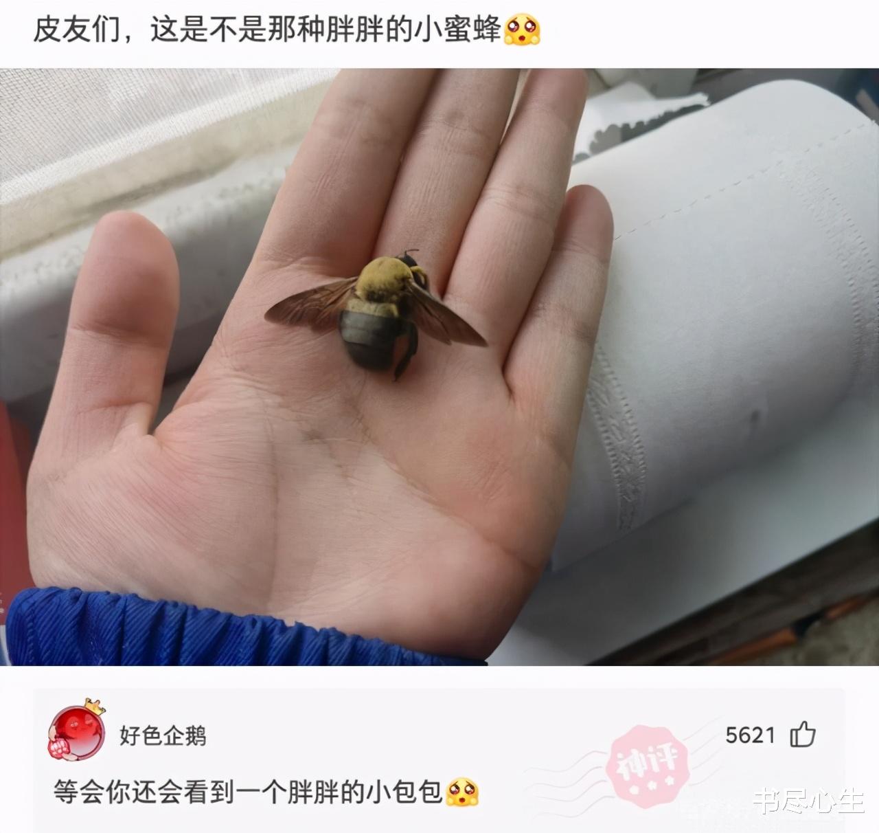 神回复:朋友们,烤了一份猪大肠,这给我上的是什么? 神回复:朋友们,烤了一份猪大肠,这给我上的是什么?