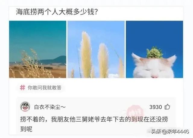 第一次带表妹游泳，需要注意什么？被神评笑死了