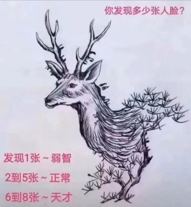 大叔狂刷100万的礼物,终于跟网红见了面!大家看这钱花得值吗 大叔狂刷100万的礼物,终于跟网红见了面!大家看这钱花得值吗