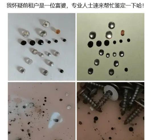 “昨天喝多了把这个扛回家了,现在醒了怎么办?”哈哈哈 “昨天喝多了把这个扛回家了,现在醒了怎么办?”哈哈哈