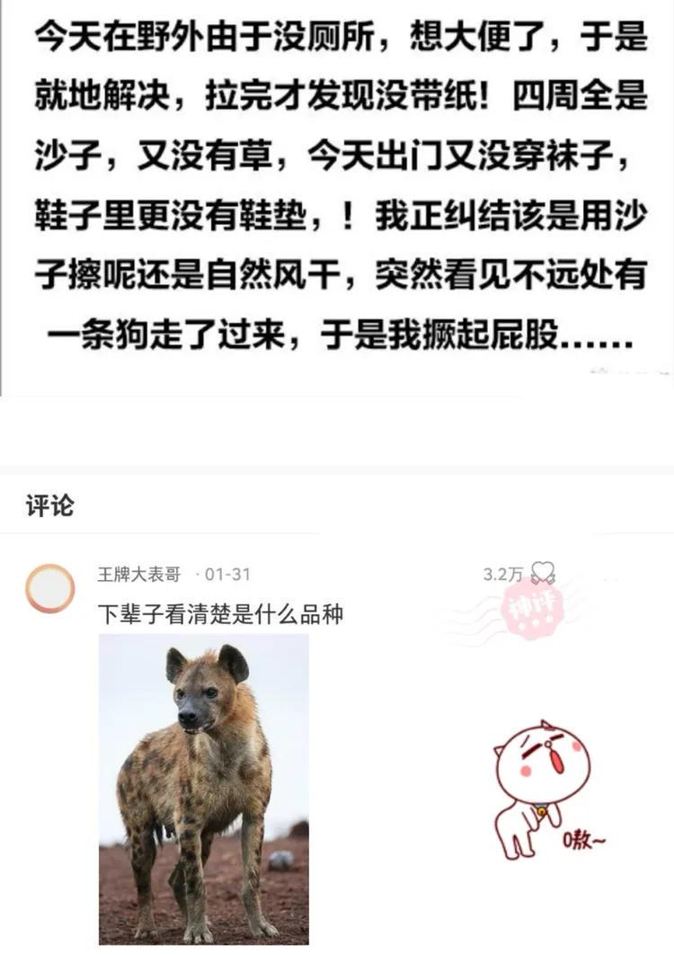 “技校真的有这么乱吗？”网友回复太经典，真是长见识啊