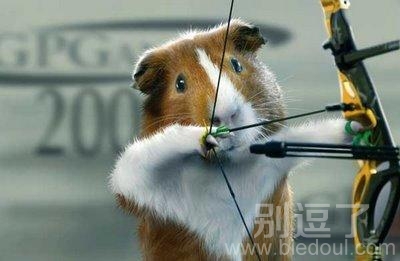 仓鼠射箭图片哈哈
